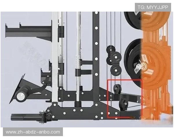 如何购买实用型健身器材以满足家庭健身需求